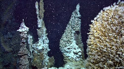 Mata Ua hydrothermal chimneys and biology.