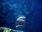 pillow lava long