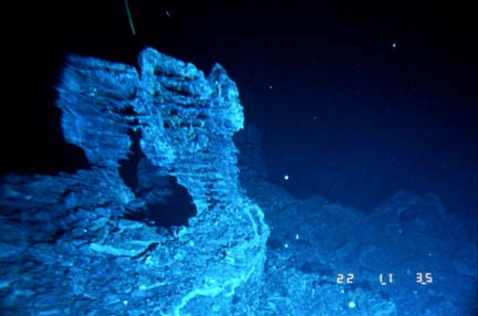 seafloor photo showing lava pillars