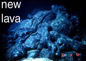 seafloor photo of new lava