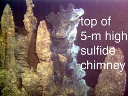 photo of top of sulfide chimney