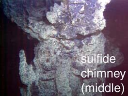photo of middle of sulfide chimney