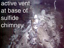 photo of base of sulfide chimney