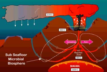 diagram of fluid pathways in a seafloor hydrothermal system