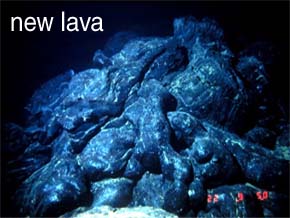 photo of new lava