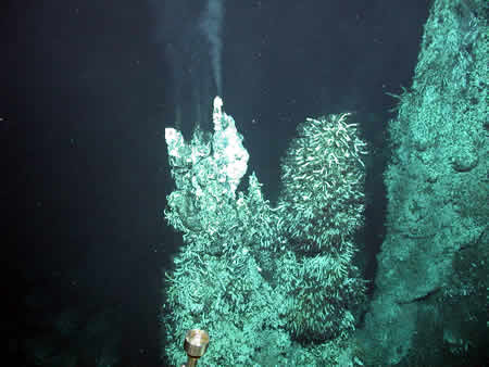 T & S Spires at CASM