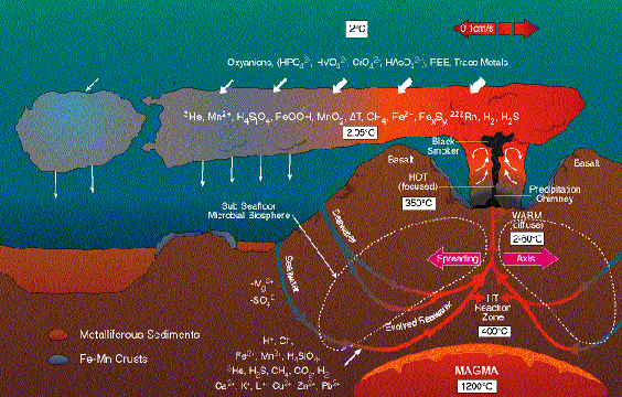 plume circulation