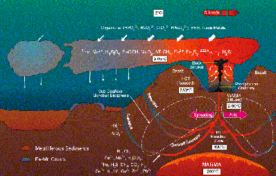 plume circulation