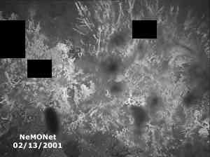 January 24, 2001 image