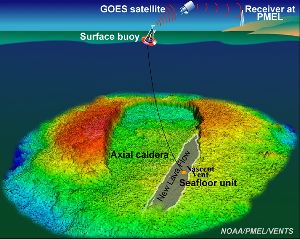 The NeMO Net system in the Axial Caldera