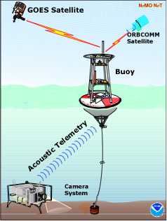 Components of the NeMO Net system