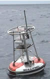 image of NeMO Net buoy, click for full story