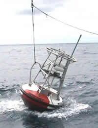 image of NeMO Net buoy, click for full size