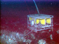 image of NeMO Net camera, click for full size