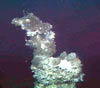 image of Phoenix Vent, click for full story