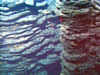 image of lava pillars,  click for full report
