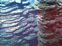 image of lava pillars click for full size