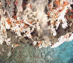 sulfide worms at Hell vent