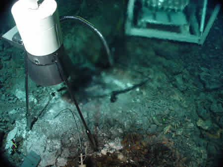 image of 2003 RAS intake funnel