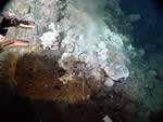 image of Castle vent sampling