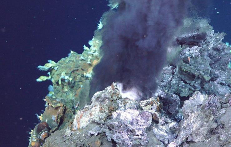 newly discovered hydrothermal vent from this expedition
