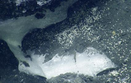 Methane hydrate depost on seafloor