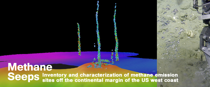 Continental Margin - Methane Seeps