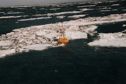 FOCI buoy in the Bering Sea ice