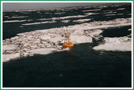 FOCI buoy in the Bering Sea ice