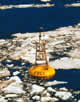 FOCI buoy in ice in Bering Sea