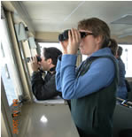 Bird observation on the bridge.