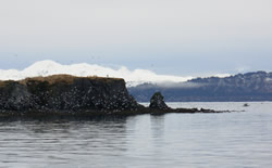 Leaving Kodiak, Alaska. Water, mountains and birds.