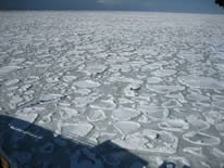 Ice pancakes viewed from the bridge