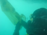 Image of a NOAA diver putting a bottle in a collection bag