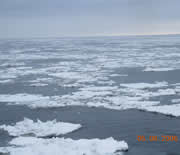 Image of sea ice.