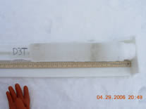 Image of an ice core sample with label and meter stick.