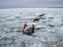 Image of seal operations boat stuck on the ice.