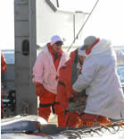 Image of two crew members attaching a motor to the zodiac.