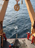 Bongo flying from aft ship deck