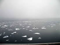 Bering Sea in sparse ice.