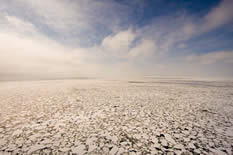 Large view of ice and sky from the <em>Healy</em>