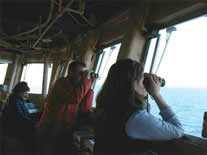 Sea bird observers K.Kuletz, L.Labunski and D.Hyrenbach
