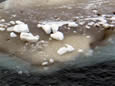 sediment-tinged ice
