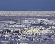 An ice ridge in the Bering Sea
