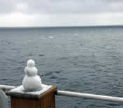 Small snowman watches as Healy leaves the ice.