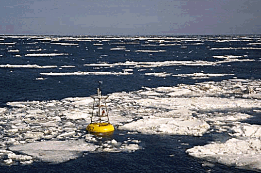 Bering Sea pack ice