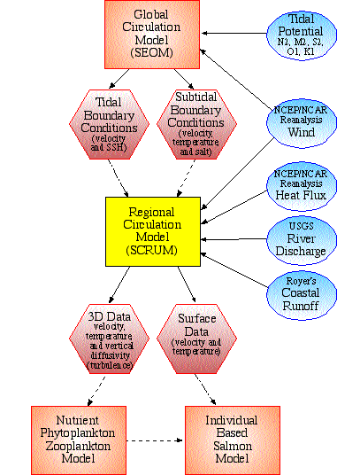 GLOBEC Flowchart