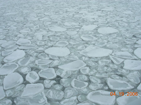 DSCN0290