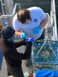 McAllister and Norton collecting PPS Samples
