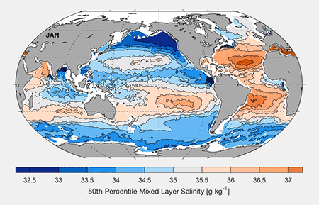 50th percentile mixed layer salinity map